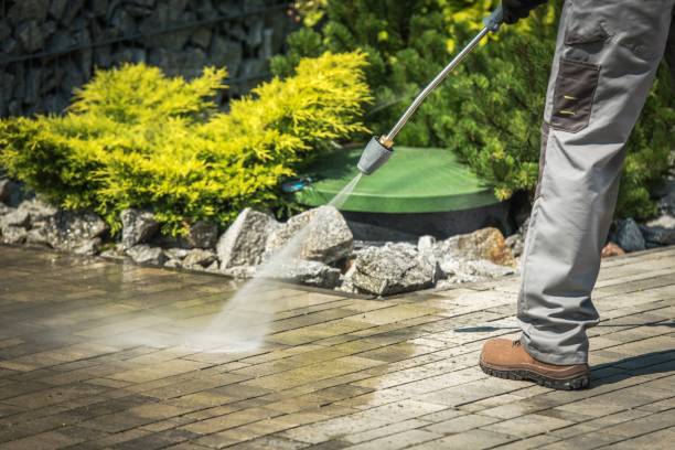 Best Building Exterior Pressure Washing in Livingston, MT